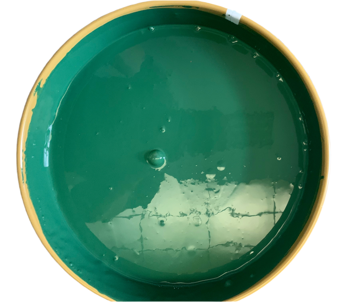 Extreme Quick Drying Concrete Floor, Patio Paint & Sealer In sea Green