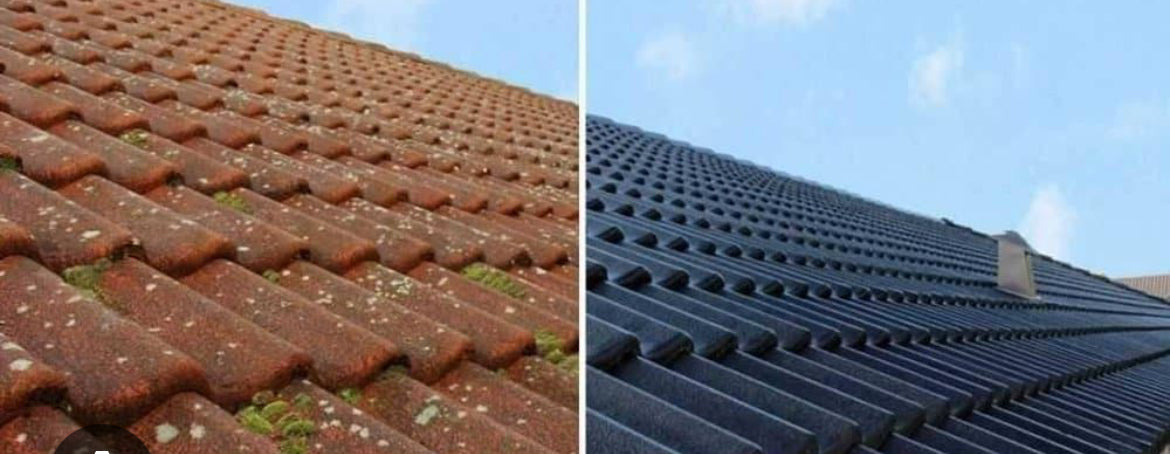 BLACK EXTREME ROOF TILE PAINT & SEALER