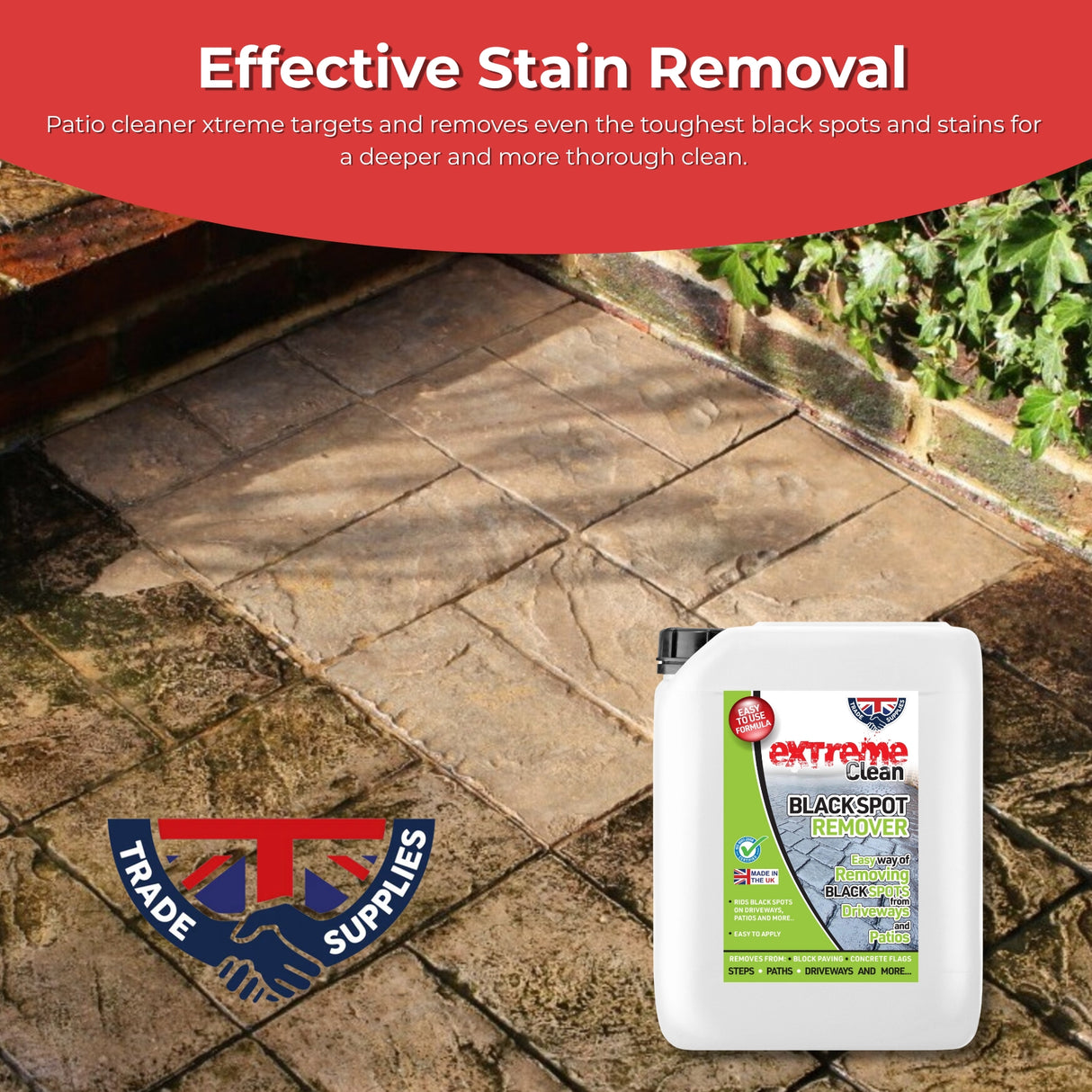 Extreme Clean Blackspot Remover for Patios & Stone Surfaces