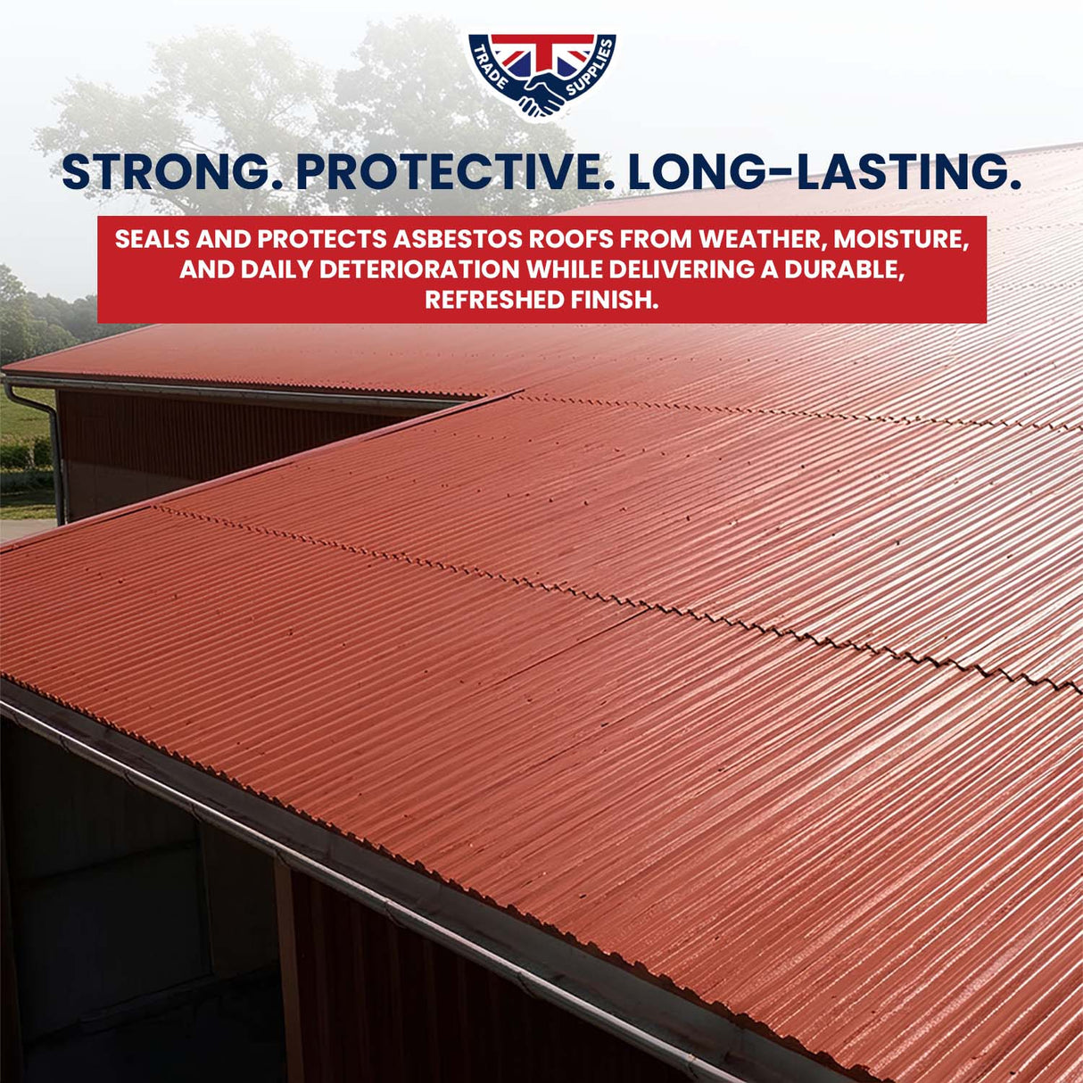 Extreme Asbestos Roof Paint