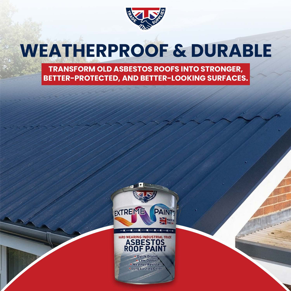 Extreme Asbestos Roof Paint