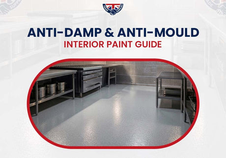 Anti-Damp & Anti-Mould Interior Paint Guide