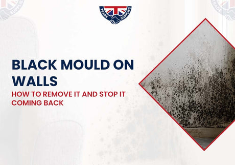 Black Mould on Walls: How to Remove It and Stop It Coming Back