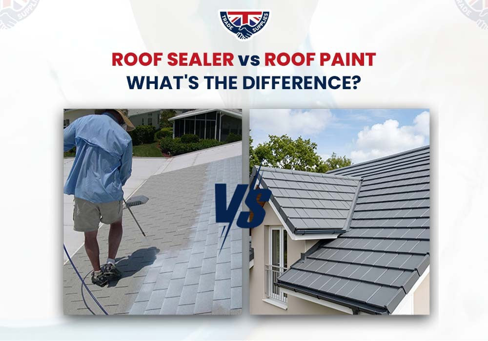 Roof Sealer vs Roof Paint: What's the Difference?