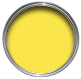 Extreme Seal Vehicle Floor Waterproofing Paint
