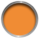 Extreme Seal Vehicle Floor Waterproofing Paint