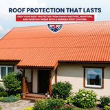 Extreme Asbestos Roof Paint